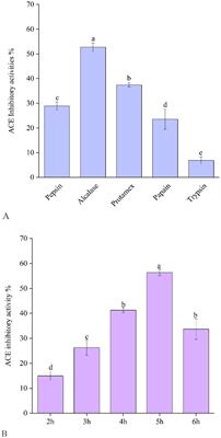 Angiotensin-I-converting enzyme inhibitory peptides from eel (Anguilla japonica) bone collagen: preparation, identification, molecular docking, and protective function on HUVECs